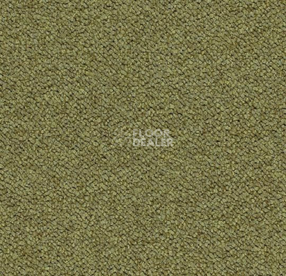 Ковровая плитка Tessera Chroma 3613 Pasture фото 1 | FLOORDEALER